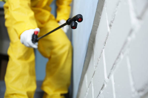 Best Residential Pest Control  in Ritzville, WA